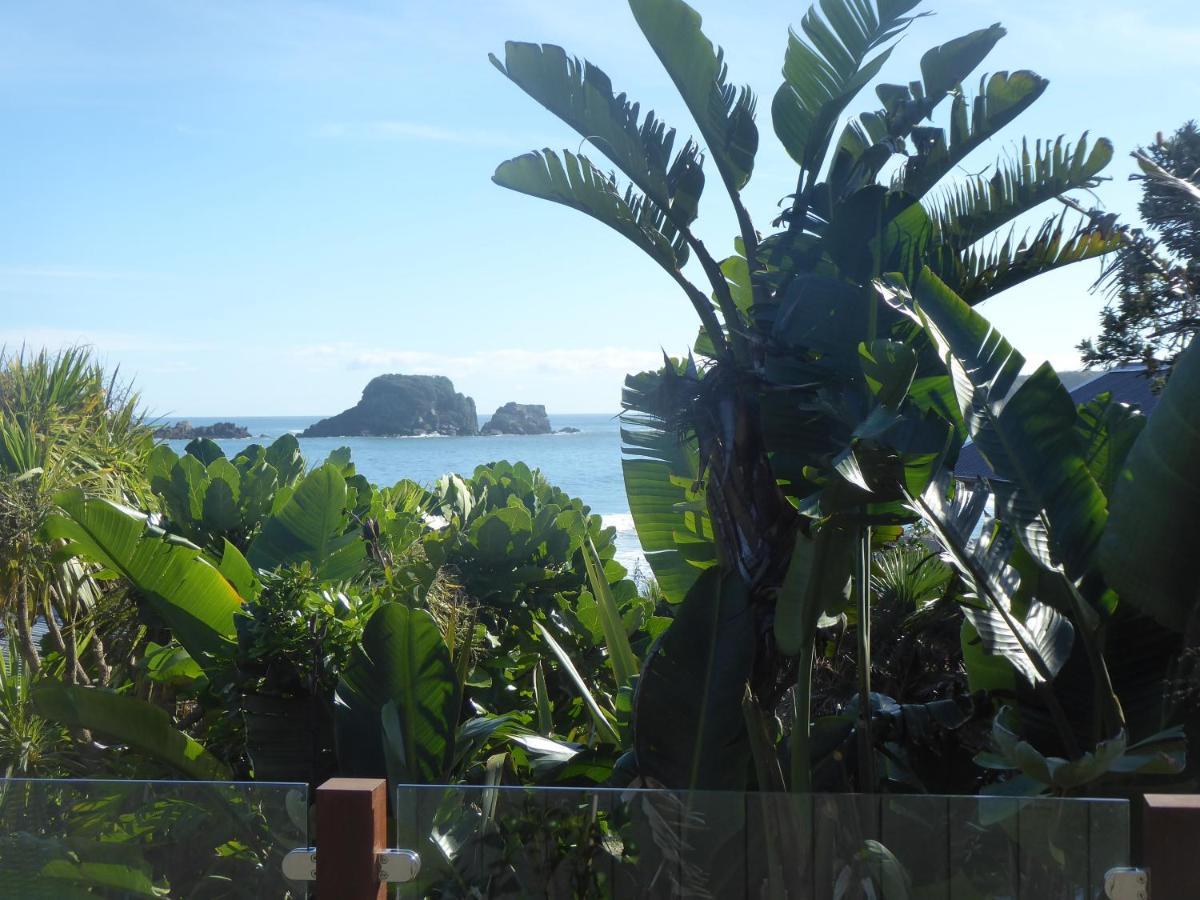 The Bay House Beachfront Accommodation Cape Foulwind Exterior photo